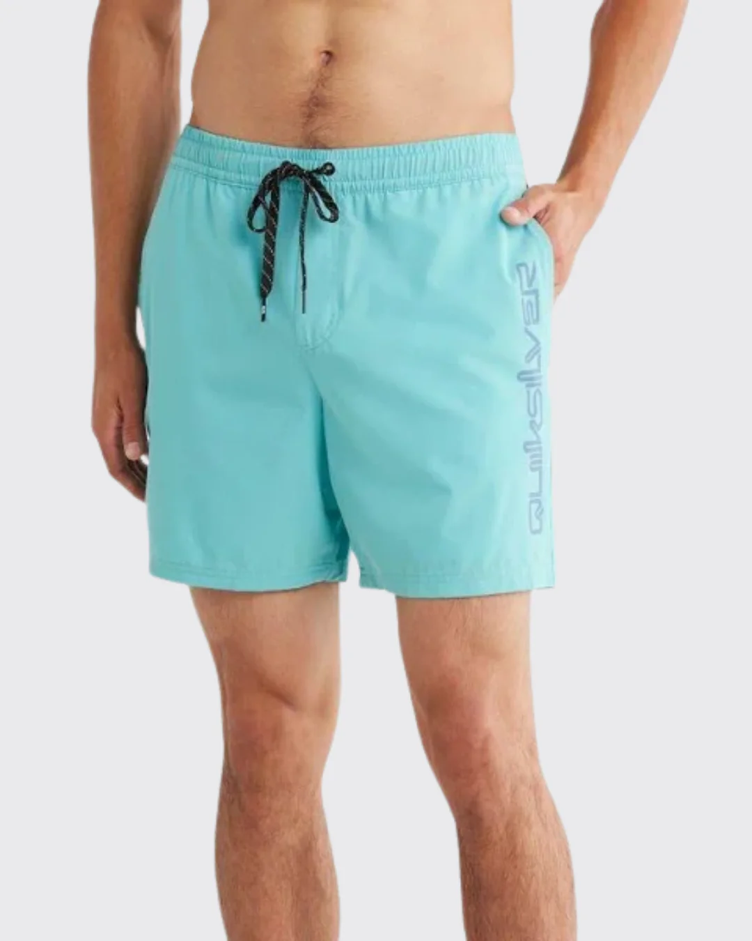 Quiksilver 17" Everyday Vert Volley 2 Shorts - Image 2