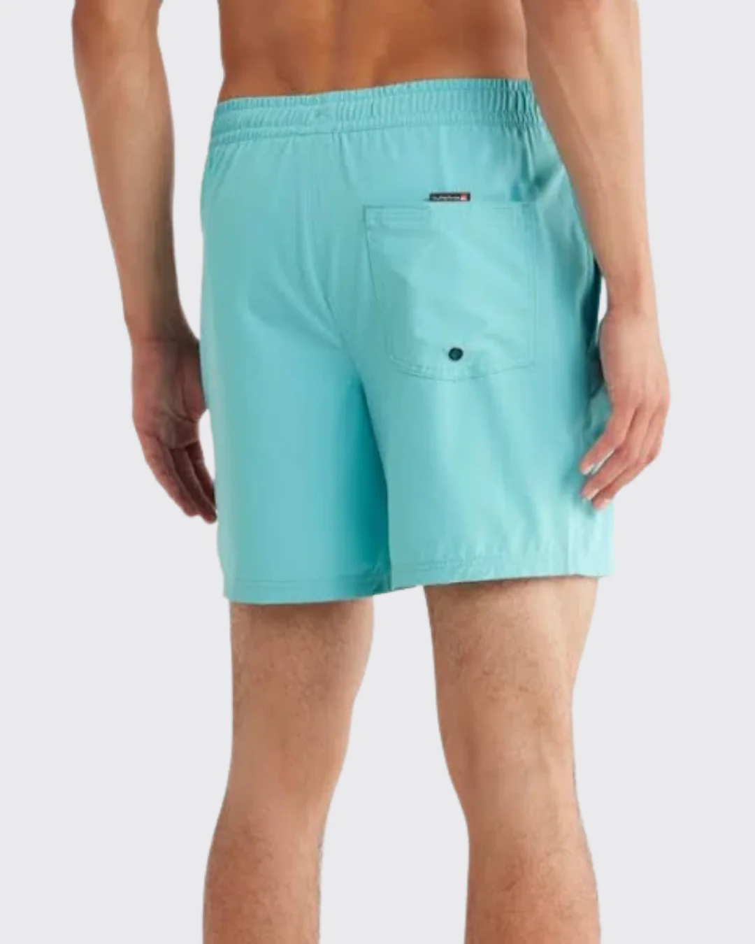 Quiksilver 17" Everyday Vert Volley 2 Shorts - Image 3